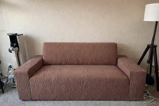 Loveseat Sofa with New Sofa Cover