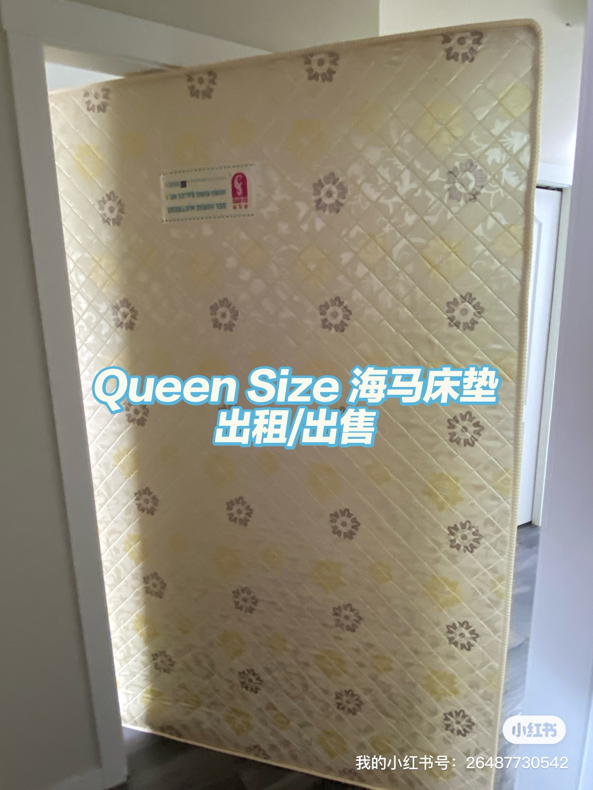 8英寸厚的超硬海马queen size 床垫 - Image 1
