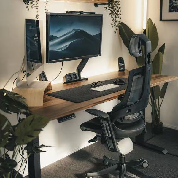 Ergonomic Office Chair