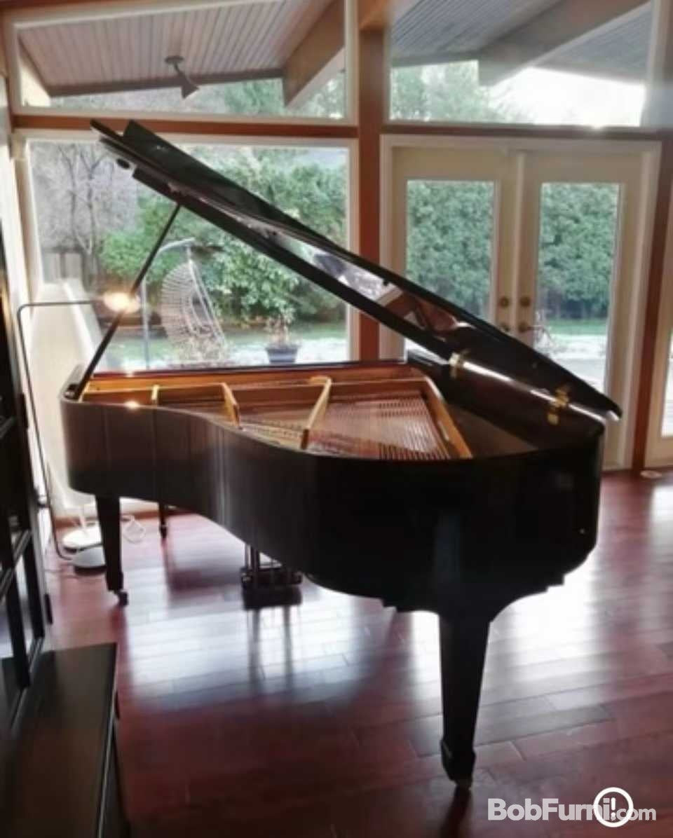 BOBFURNI WeChat product image 3