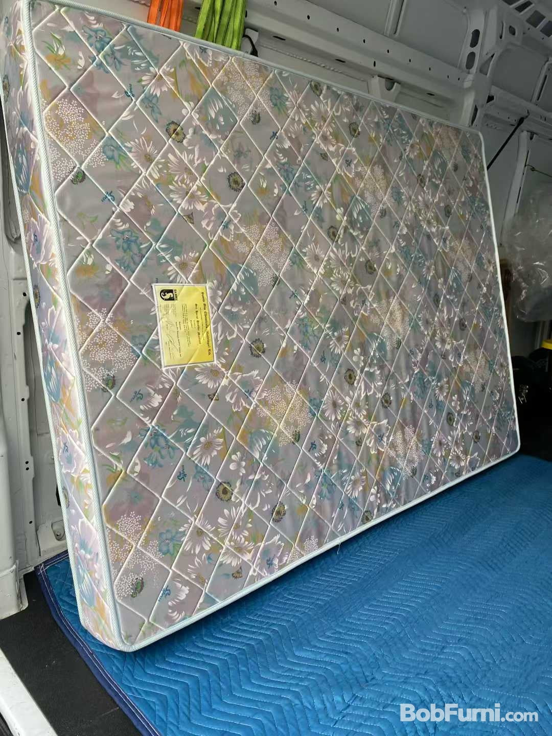 BOBFURNI WeChat product image 1
