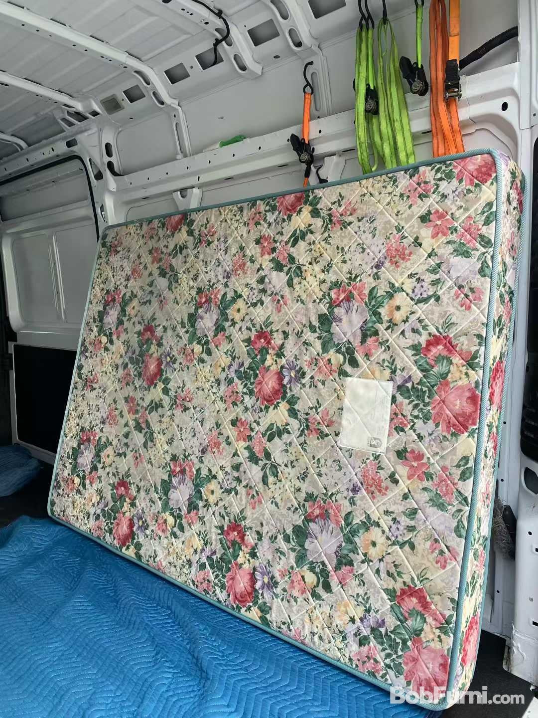 BOBFURNI WeChat product image 2